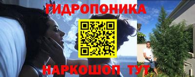 apvp Ачхой-Мартан