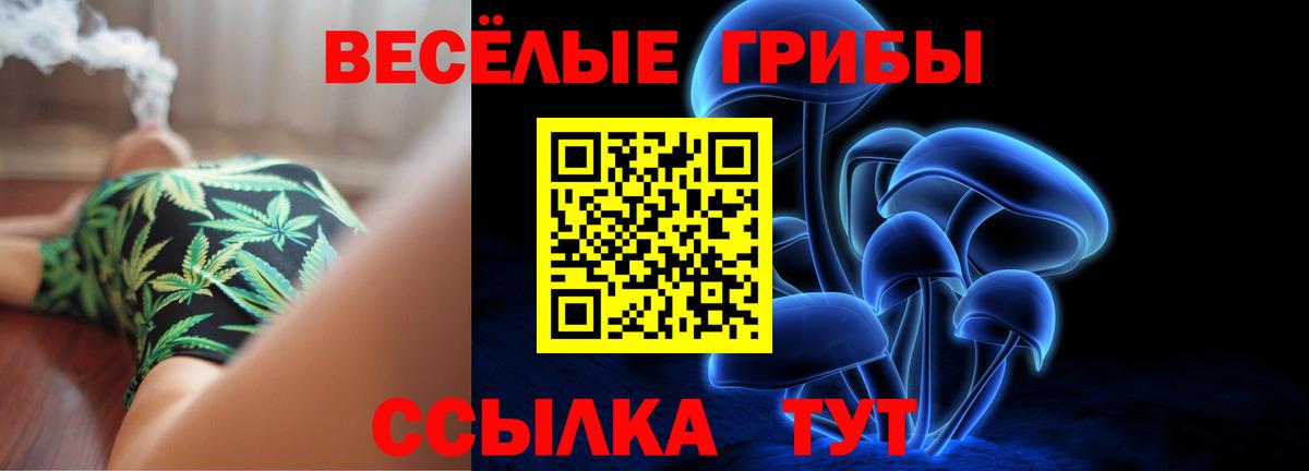 Псилоцибиновые грибы Magic Shrooms Верхняя Пышма